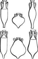 Amphorae is a vessel used for holding wine and oil or honey vintage engraving. vector