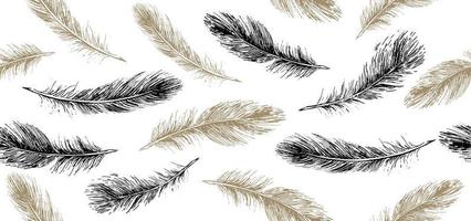 Set of bird feathers. Hand drawn sketch style. vector