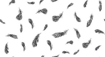 Set of bird feathers. Hand drawn sketch style. vector