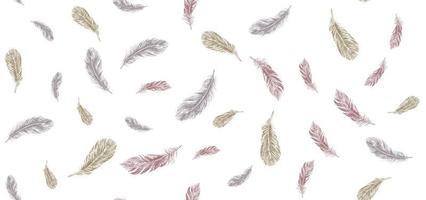 Set of bird feathers. Hand drawn sketch style. vector
