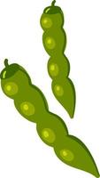 Green bean flat, illustration, vector on white background.