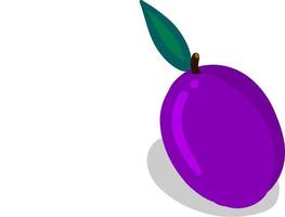 Violet plum, illustration, vector on white background.