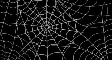 Spiderweb vector background. Isolated white cobweb on the black backgrop. Line art decor for Hallowee