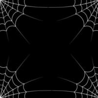 Spiderweb web vector frame. White web in the corner on black background. Cobweb elements for Halloween design and banners