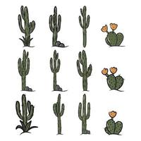 Set of mexican cactus and aloe. Collection of exotic plants. Cactus with flowers. vector