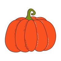 Cute pumpkin. Thanksgiving and halloween element. Vector illustration in hand drawn style