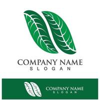 Green tree leaf nature logo images vector