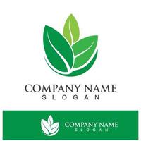 Green tree leaf nature logo images vector