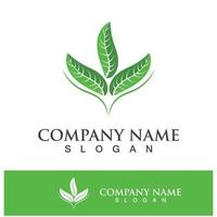 Green tree leaf nature logo images vector