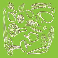 set of white contour vegetables on a green background vector