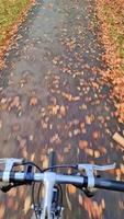vue sur le volant d'un vélo en mouvement dans un paysage automnal avec beaucoup de feuilles. video