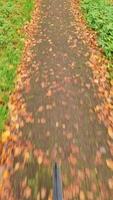 visie van de stuurinrichting wiel van een in beweging fiets in een herfst- landschap met veel van bladeren. video