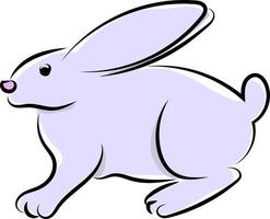 White rabbit, illustration, vector on white background.