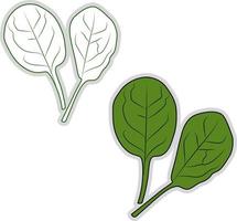 Fresh spinach, illustration, vector on white background.