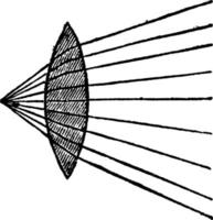 Converging Rays and a Double Convex Lens, vintage illustration. vector