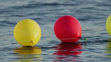 drôles de ballons colorés nageant sur l'eau de mer video