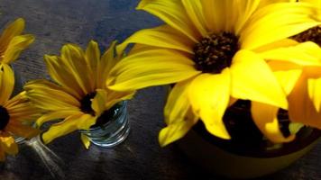 vases de tournesol sur table en bois video