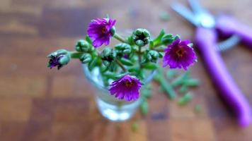 fleurs violettes et ciseaux sur table en bois