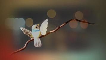 cute bird decoration at home, bokeh effect video