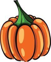 Fresh pumpkin, illustration, vector on a white background.