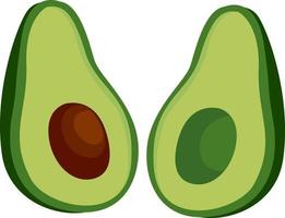 Avocado in hlaf, illustration, vector on white background.