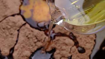 Hand pours olive oil into the cocoa flour in slow motion close-up. Step-by-step recipe for making homemade chocolate cookies or brownies cake. video