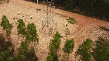 maschio e femmina ambientale ingegneri ispezionare il foresta per il sviluppo di il alto voltaggio polo fondazione costruzione luogo. video