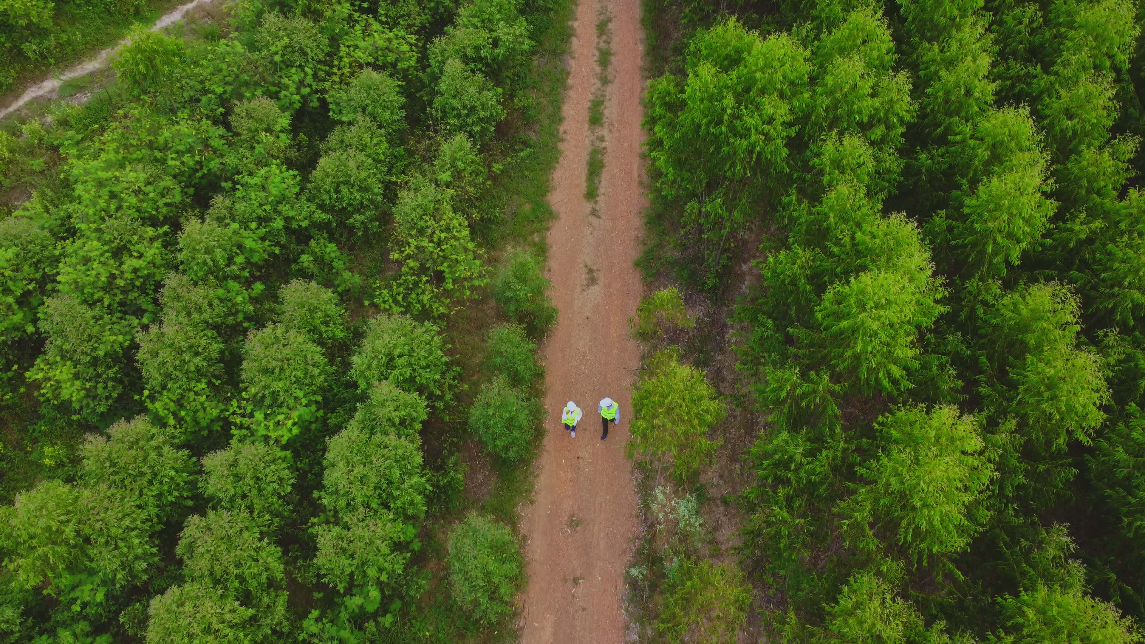 Biologists out in the field examine eucalyptus forests with data