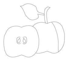 Whole apple with leaf and cut apple in doodle style. Vector illustration.