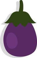 Purple eggplant, illustration, vector, on a white background. vector