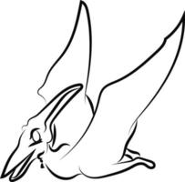 pteranodon dibujo, ilustración, vector sobre fondo blanco.