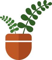 ZZ Plant in a pot, illustration, vector on white background.