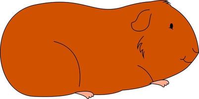 Orange fat cavy, illustration, vector on white background.