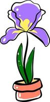 Iris in pot, illustration, vector on white background.