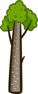 Pine tall tree , illustration, vector on white background