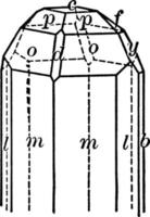 topacio, ilustración vintage. vector