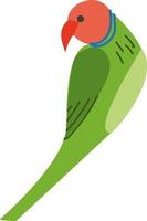 Green parrot, vector or color illustration.