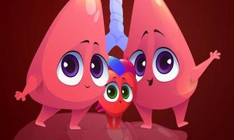 Cute characters of human lungs and heart vector