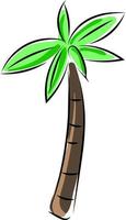 Palm tree, illustration, vector on white background.