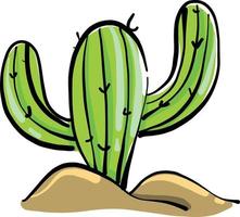 Cactus in sand, illustration, vector on white background.