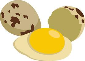 Quail eggs, illustration, vector on white background.