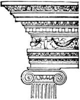 Ionic Order, 6th century,  vintage engraving. vector