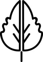 Leaf in half, illustration, vector on white background.