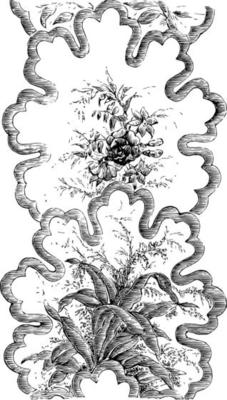 Ribbon Pattern is a British design, vintage engraving.