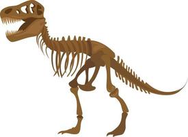 Dinosaur skeleton, illustration, vector on white background