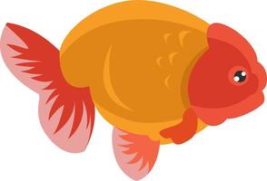 Ranchu fish, illustration, vector on white background