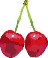 Fresh cherry, illustration, vector on white background.