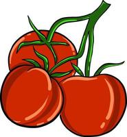 tomates cherry, ilustración, vector sobre fondo blanco