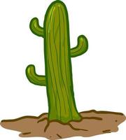 Cactus growing in land, illustration, vector on white background.