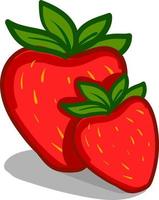 Two strawberries, vector or color illustration.